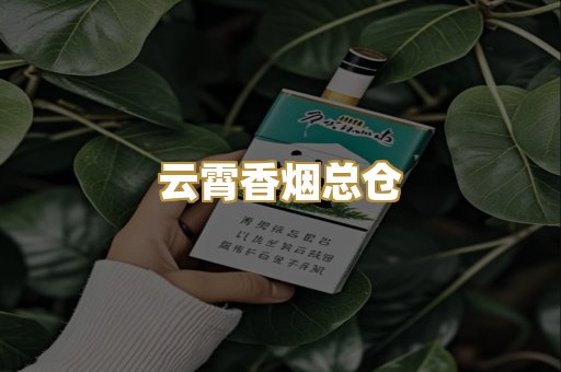 云霄香烟总仓